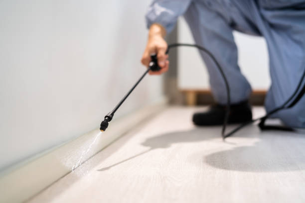 Certified termite inspector examining foundation in Fruitland