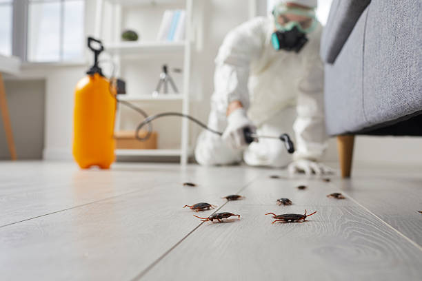 Commercial Rodent Management in Fruitland